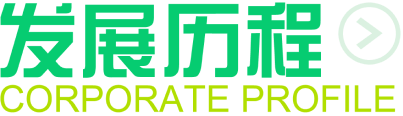 发展历程 发展历程